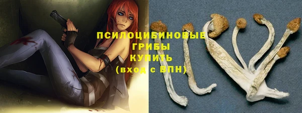 круглые Бородино