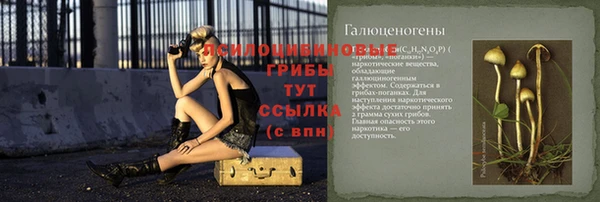 ECSTASY Остров