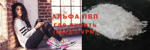 гидра Пересвет